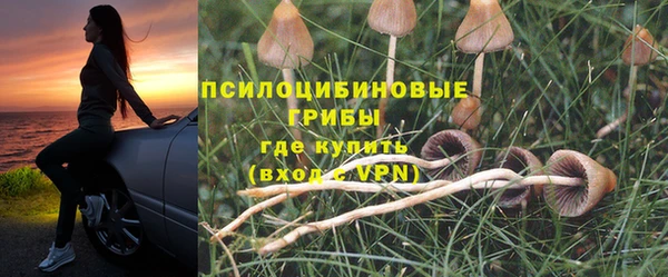 а пвп мука Балахна