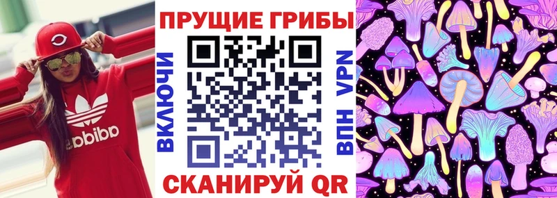 Псилоцибиновые грибы MAGIC MUSHROOMS  Купить где  Первомайск 