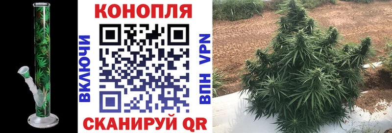 Купить где  Первомайск  МАРИХУАНА OG Kush 
